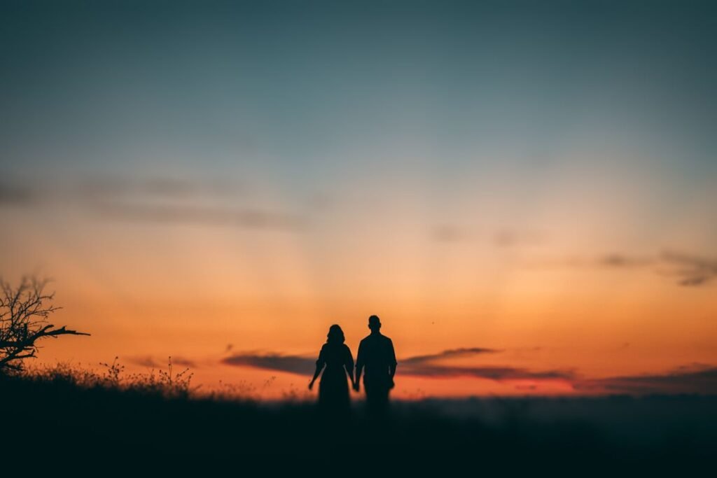 Silhouette of a couple holding hands in a field at sunset, representing love and relationships in Vedic astrology